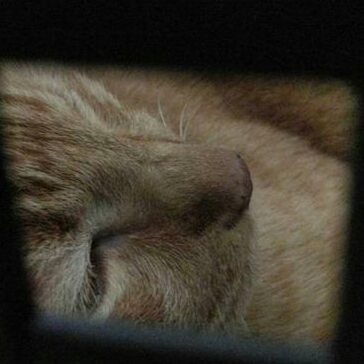 84a8f404 4047 410d 8186 db6ca65867d3