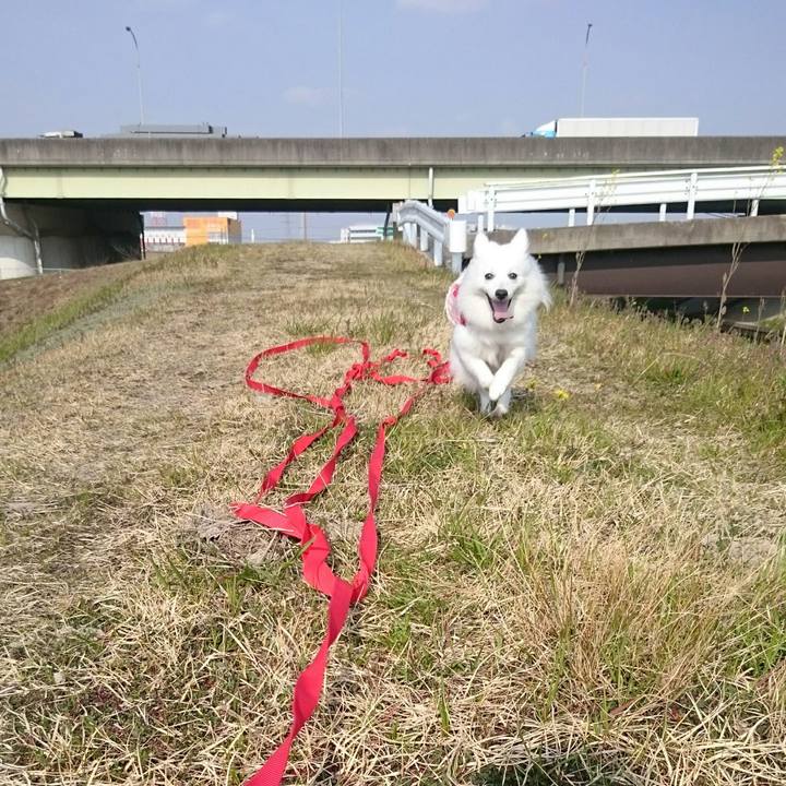 84a8fa1d 8dc2 431c bf25 f40bd719b169