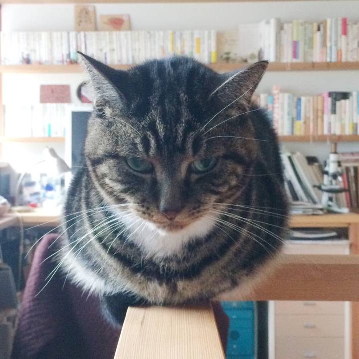 84a90583 7670 4106 83e2 9c08b82f2765