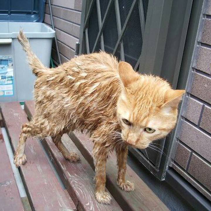 84a983da 5886 4be3 80d8 064b1477cffe