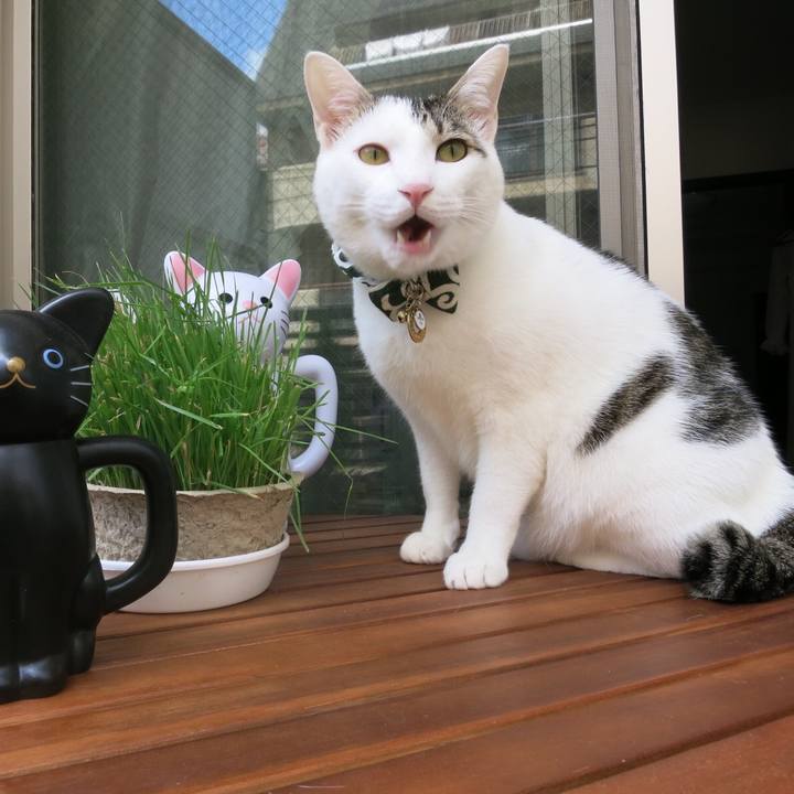 84a9b28a 4623 4ec3 8091 8f3045e5e194