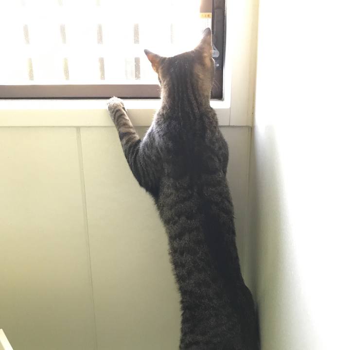 84a9b86f 12ce 4853 a2b6 a293c7599e63