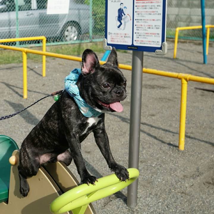 84a9ca9d d57c 4597 b5fc cfec4c6a34c8