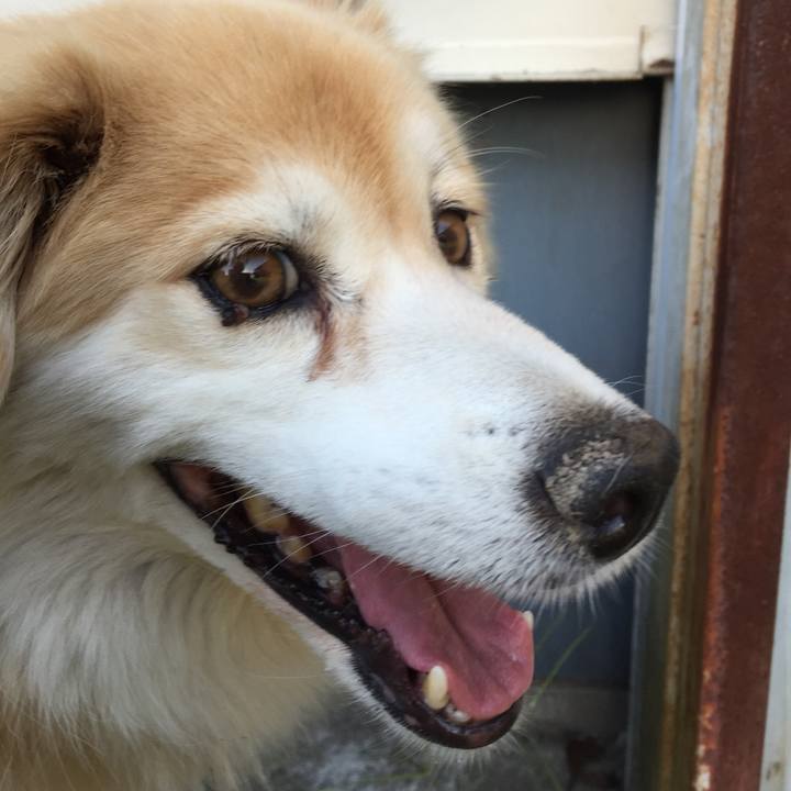 84a9ddd4 caa2 41a8 8ff2 849de62f544a