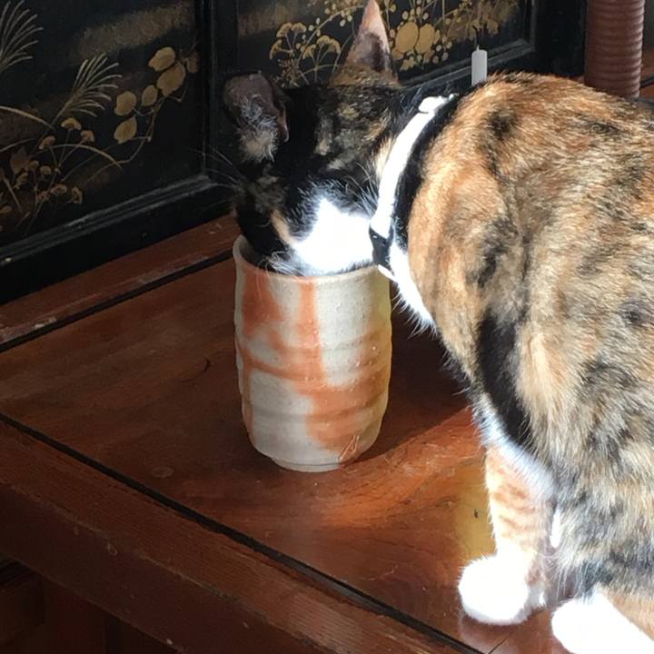 84a9e527 0719 481b ba8b 0b688ee8b46d