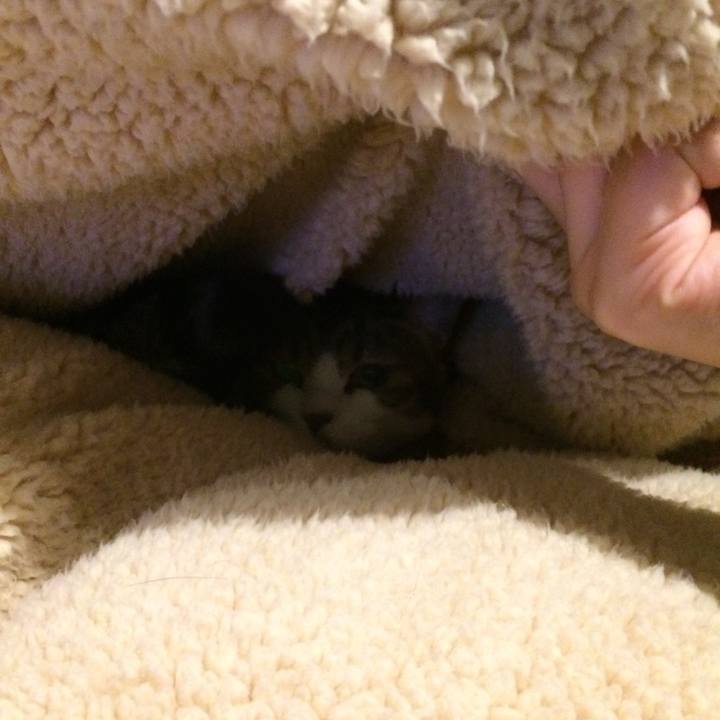 84aad3f0 037d 4d20 9d05 b2fc471de6dc