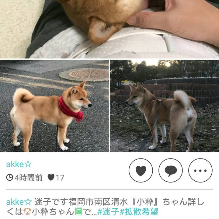 84ab8d05 d92d 4342 ab2c 2b6b8b76a261