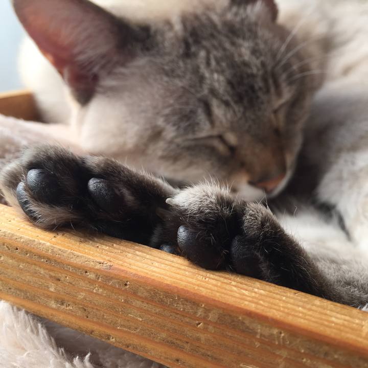 84abcbdc cec8 4ec4 8777 81f2f3067b7d