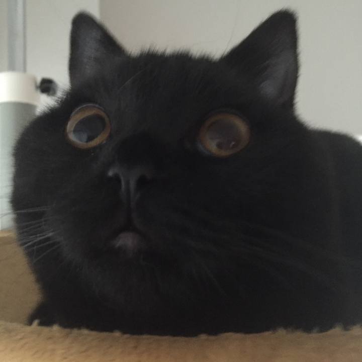 84ac68af 7e31 48ba abf9 acbb1f2243f9