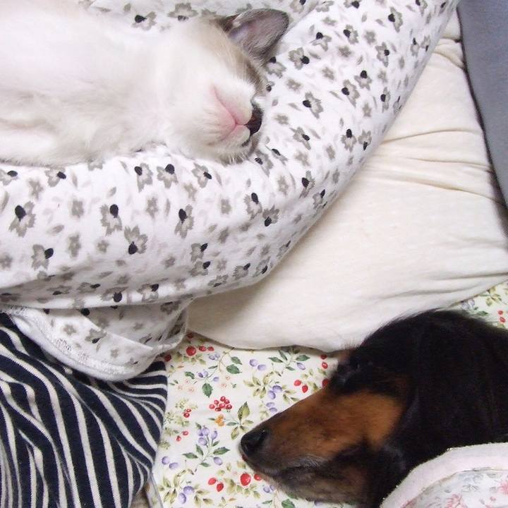 84ad101f 6138 4da5 af36 ffced689b93f