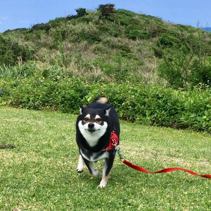 84ae4584 a5ad 454a a929 af301501ada1