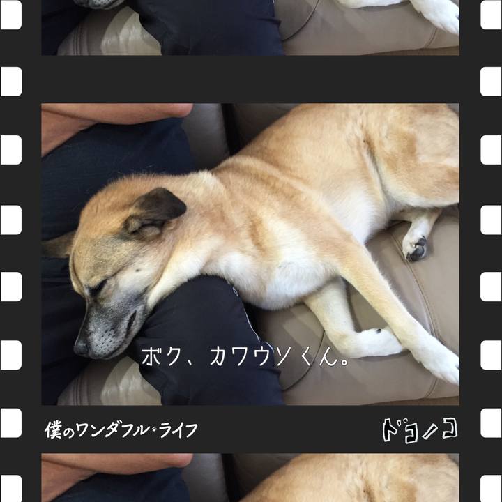 84aec639 ffd6 41cc 8feb 84fe0d403344