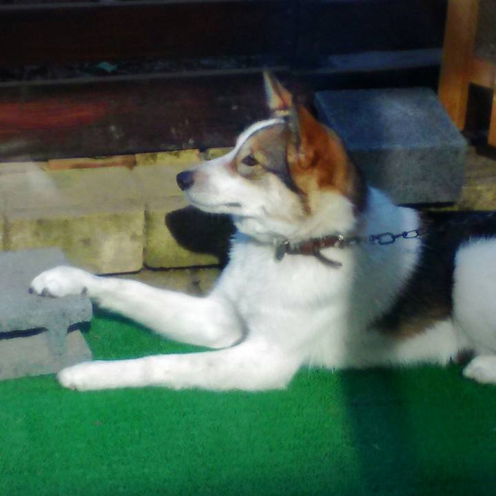 84af0715 5e04 4168 9ebc f839efeed5dc