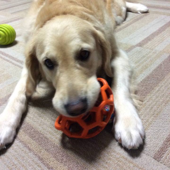 84af6231 a508 4072 b210 98376483c345