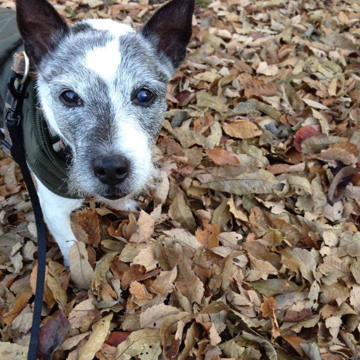 84b0b4d3 4961 4d27 92bc 23342989e7f9