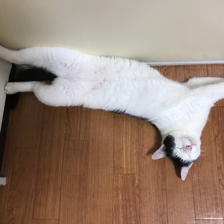 84b12e53 1e51 4491 a1e0 7694c5076121