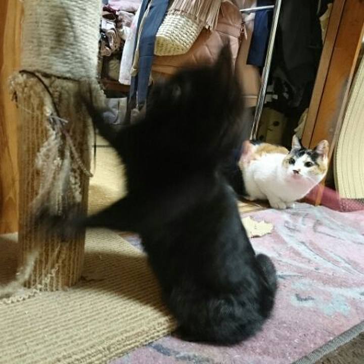 84b183a0 c339 44ad af7b 8ae54e383f21