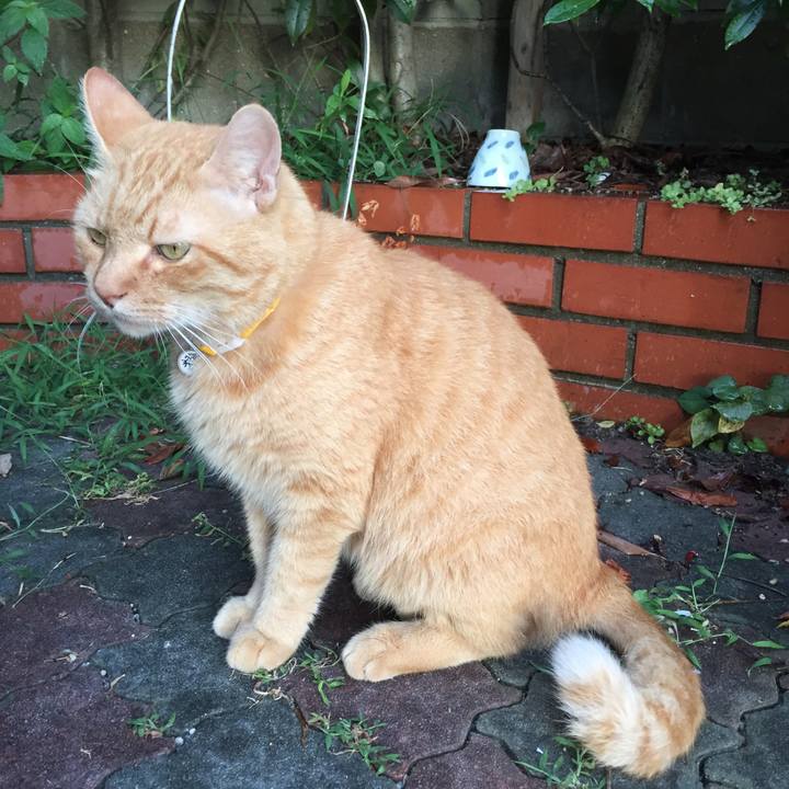 84b18c24 1311 48aa 9d27 8e1718a23cb5