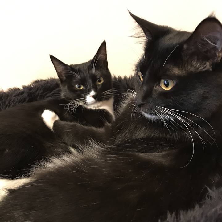 84b1d85d c78a 4c18 acf4 7bfab4cd9a25