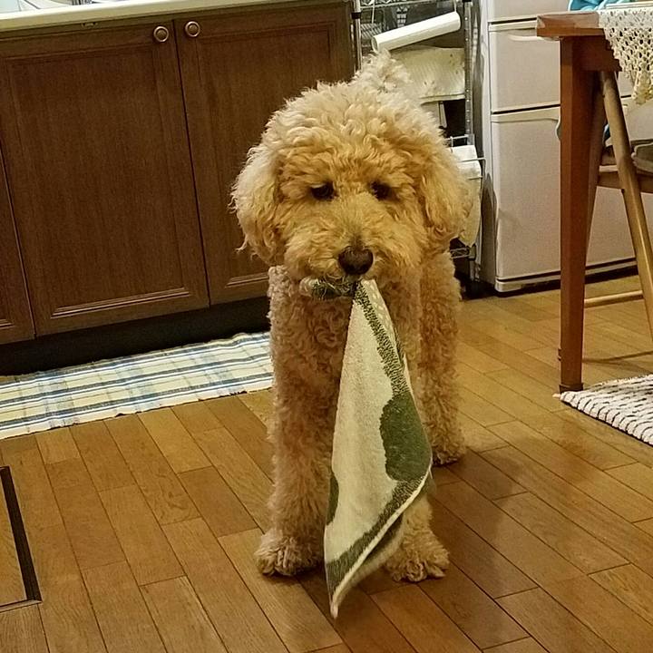 84b2897f dee3 462f bc80 bc6fd91408de