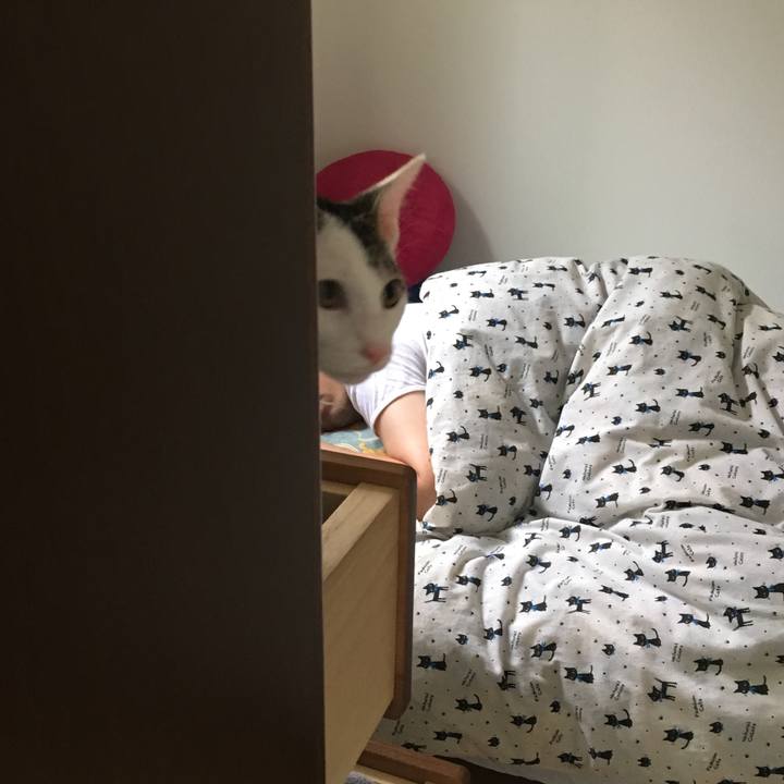 84b30177 a3c2 47df bbae 148b8a69bee3