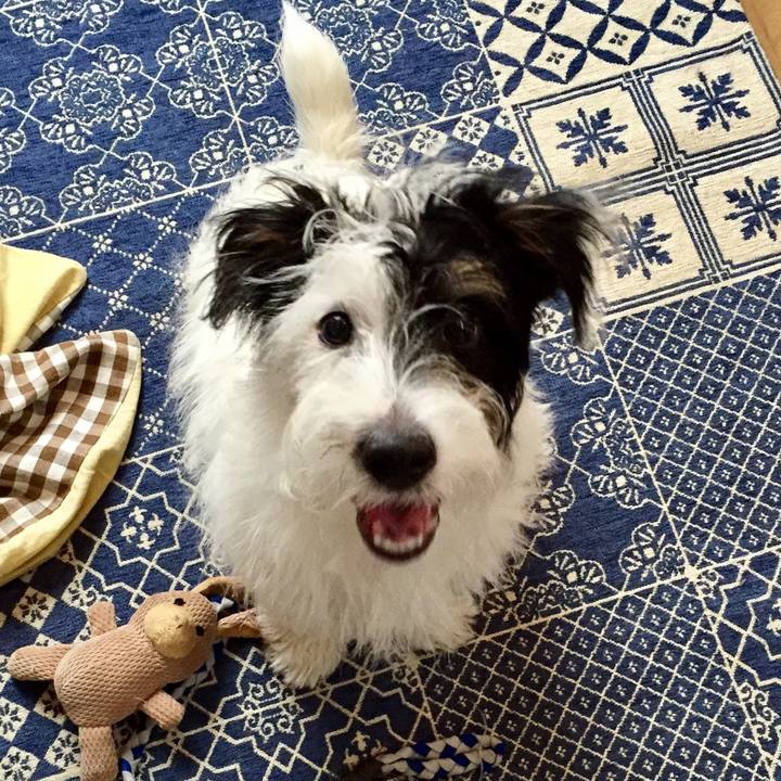 84b34a8e c850 43c5 9505 14a9b566fd14