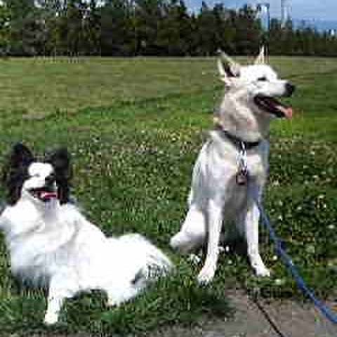 84b51d31 b3d3 446a 952c 28971f23507a