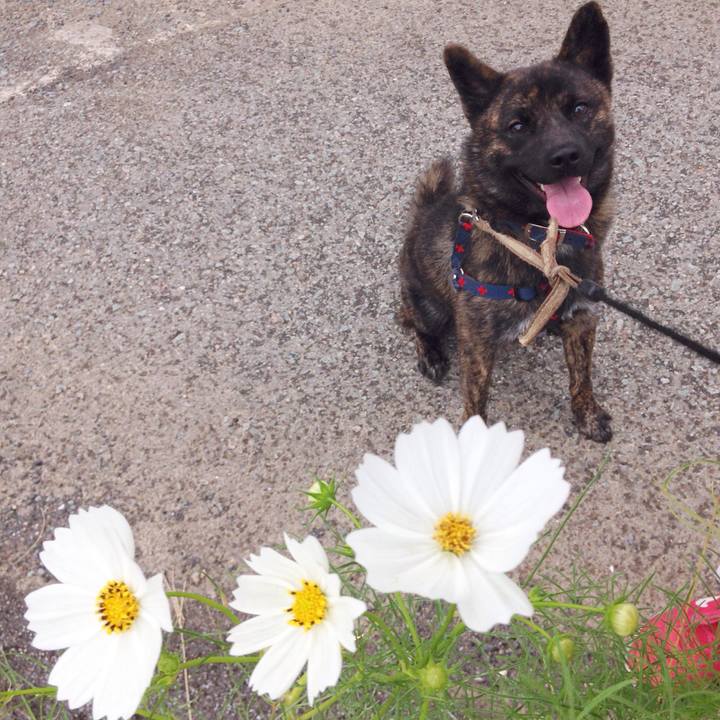 84b51e76 86ea 494b b11a 7166e5bf5562