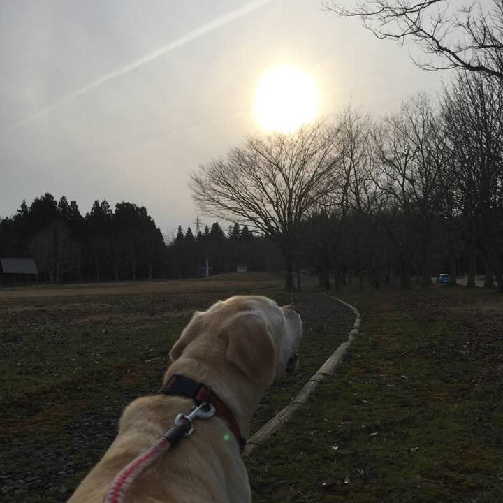 84b52b47 419a 4609 ba7c d3499f966410