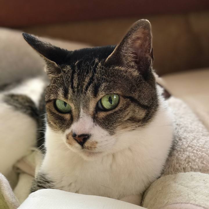 84b56ad9 1170 44ea 9e00 2f7b3312122a