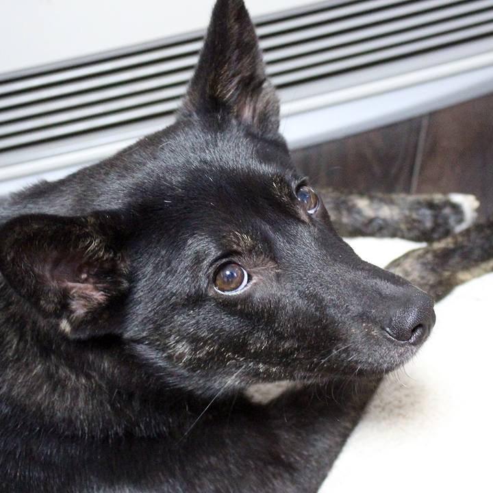 84b5cb1f 5a2f 4506 a0d6 f5a9bb29ee2e