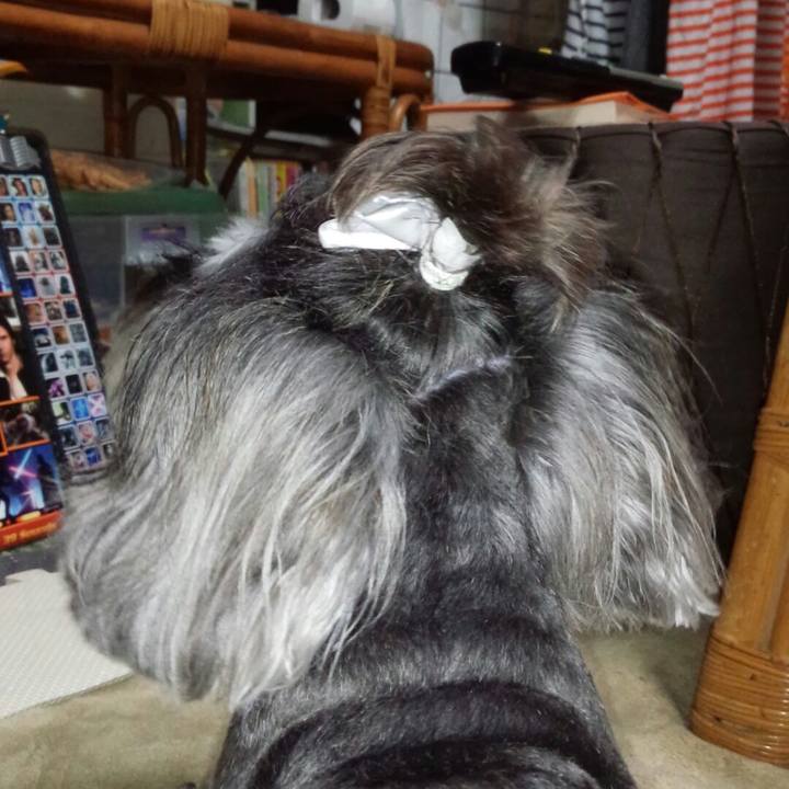 84b66942 f000 4e27 a68c 14c5d3b9a2ec