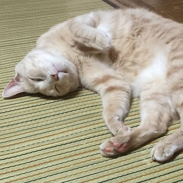 84b68596 5511 4ede b55e d1330bcde41a