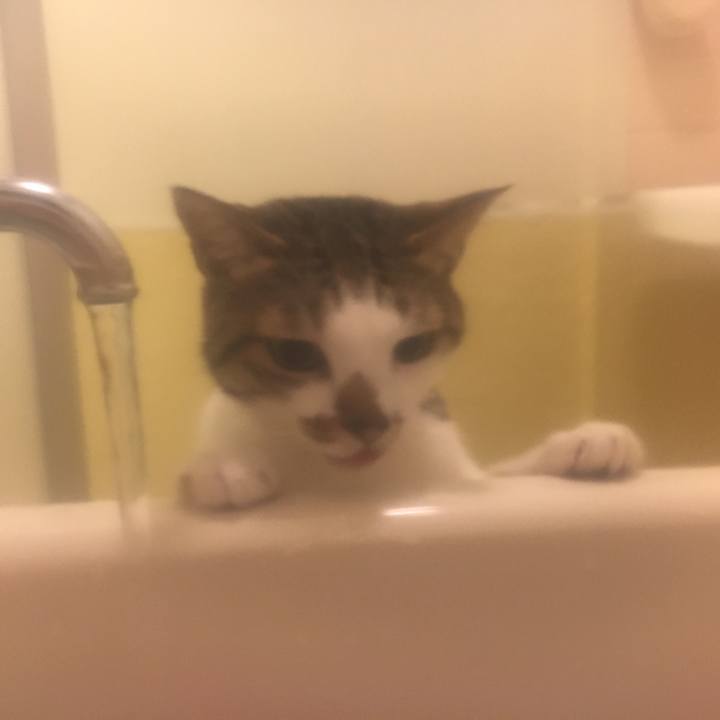 84b6edf4 4a6d 48b0 baa2 4775f318ead4