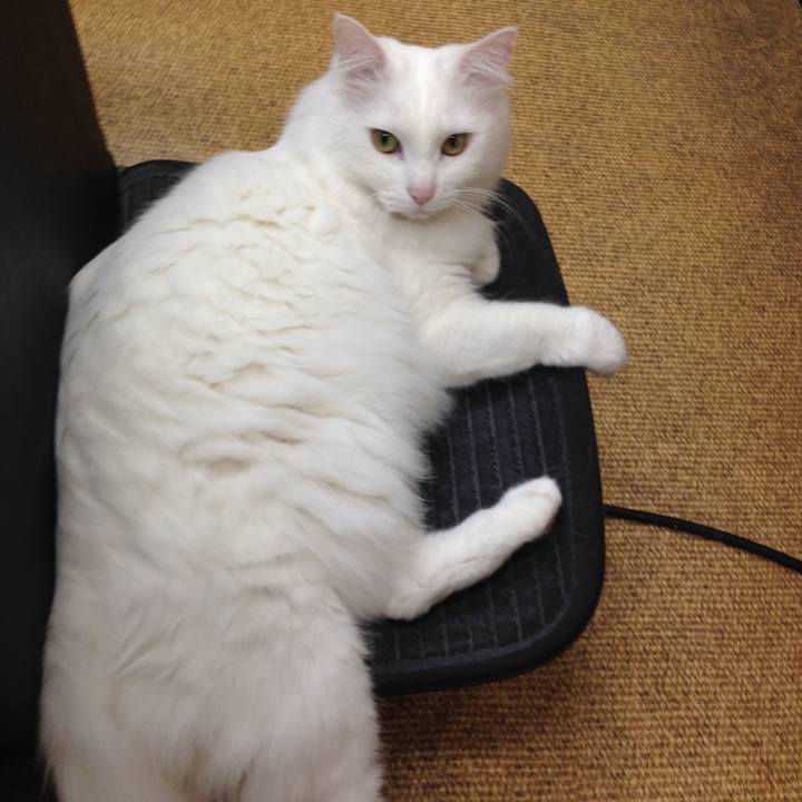 84b75329 8740 4dff 816e c2e5808709f7