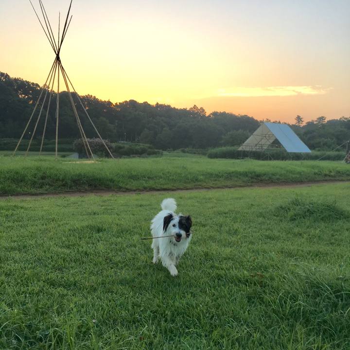 84b77643 3eca 4b97 bf69 1ff7eff59830