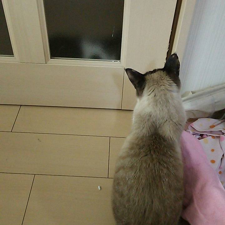 84b7b8b9 738c 4e57 9f3e 0d7209bee606