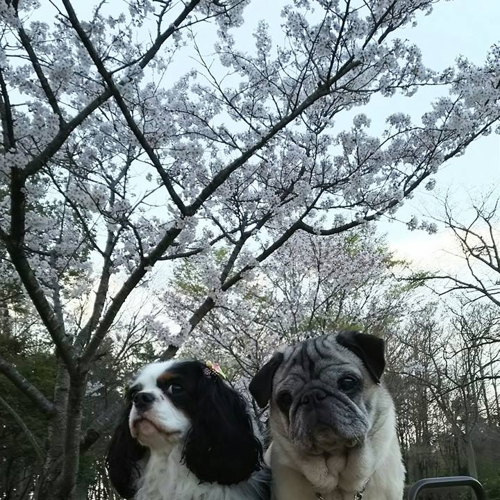 84b81b45 620c 4d81 8102 820b701912df