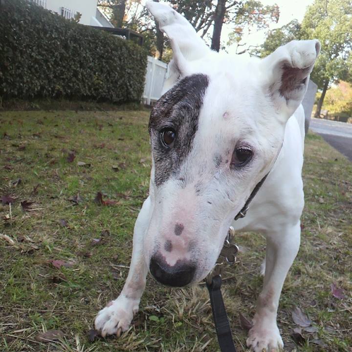 84b8257a e9c0 4c10 83d0 7a619111b291