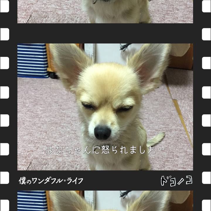 84b8587f 4713 4a7a 995b f0826b3ebdf7