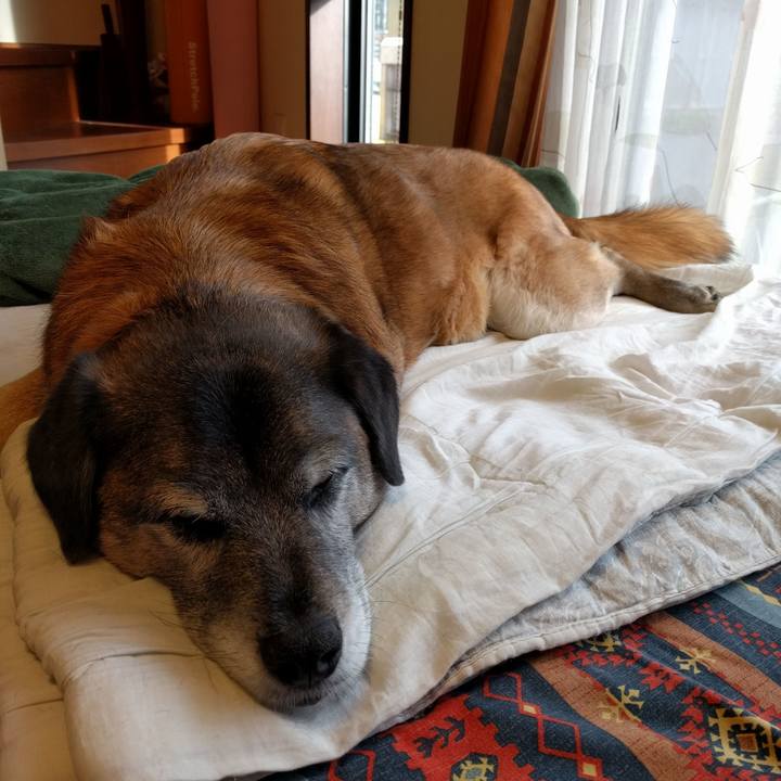 84b8cfe6 3574 45ed 9fb2 d7537e5e8854