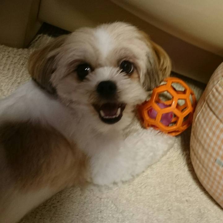 84b8f050 6be5 4693 a221 d3375039f124