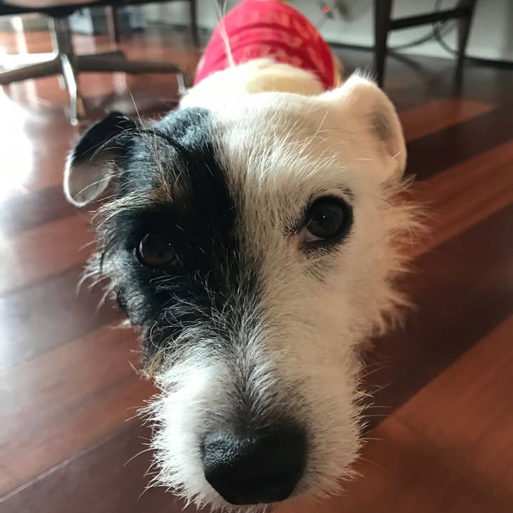 84b91e10 4b50 442f 84f7 abd46957a087