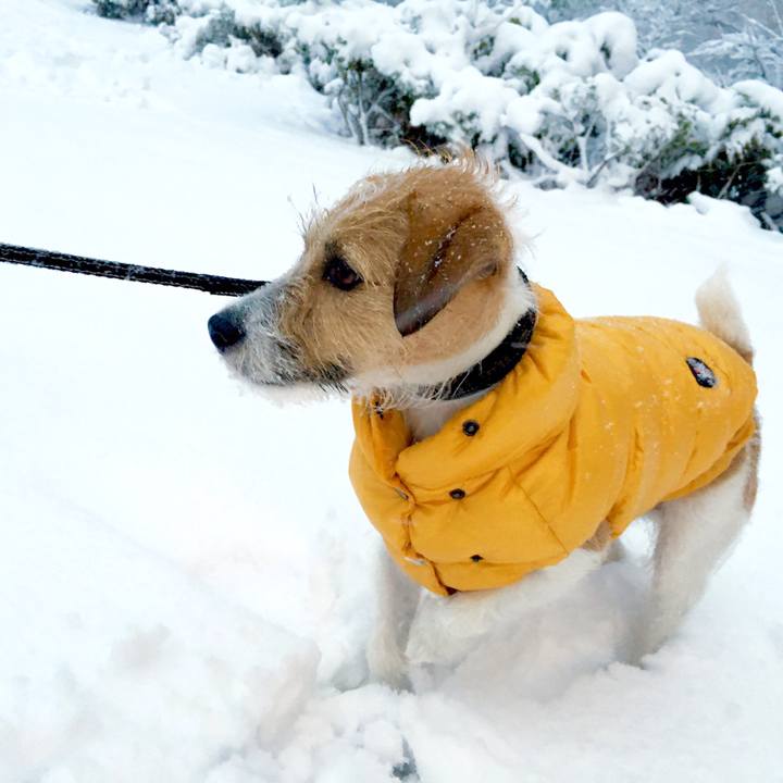 84b95b37 6905 4b3e 85a8 6d412ec11b90