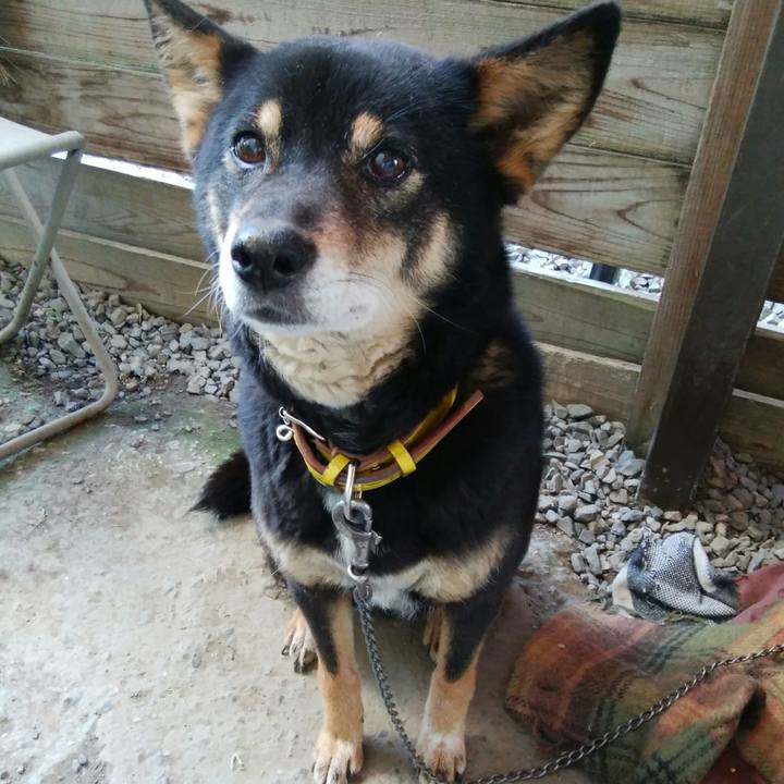 84b9ea46 24a6 4be5 9937 5ba06d46e9c5