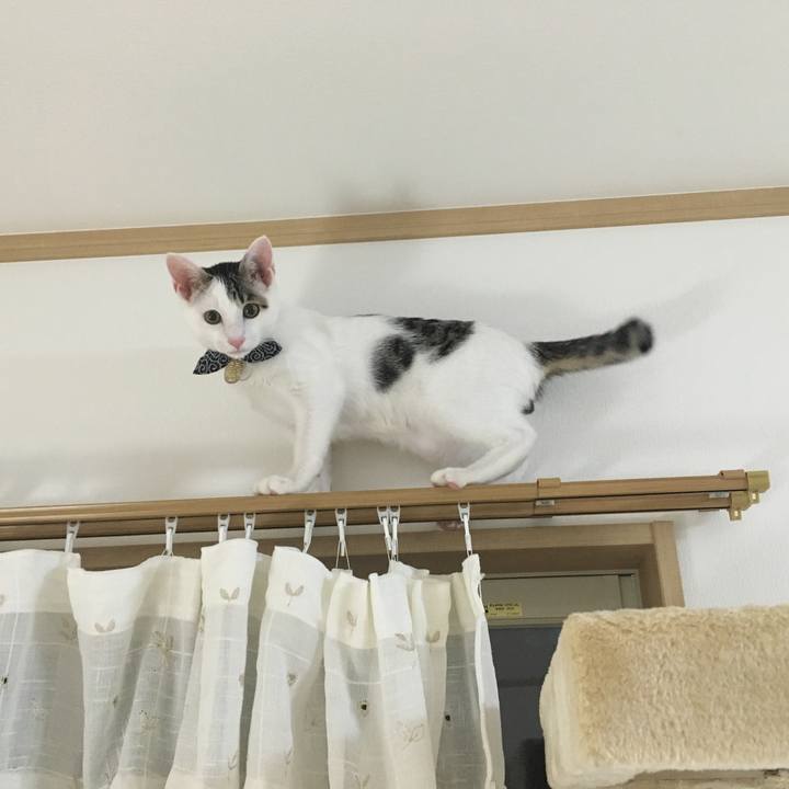 84ba4bbc 3834 4a2e 9c5b 5b0173e59201