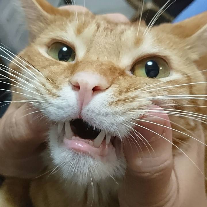 84ba7784 7aff 43ec 87ec 4fae3448d19f