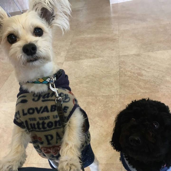 84bacdcc 4e96 44b8 8c4c f60a87d3bac8