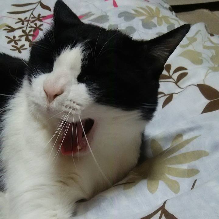 84bb0dfd 1cd7 4d4e a99c 991be047fcec