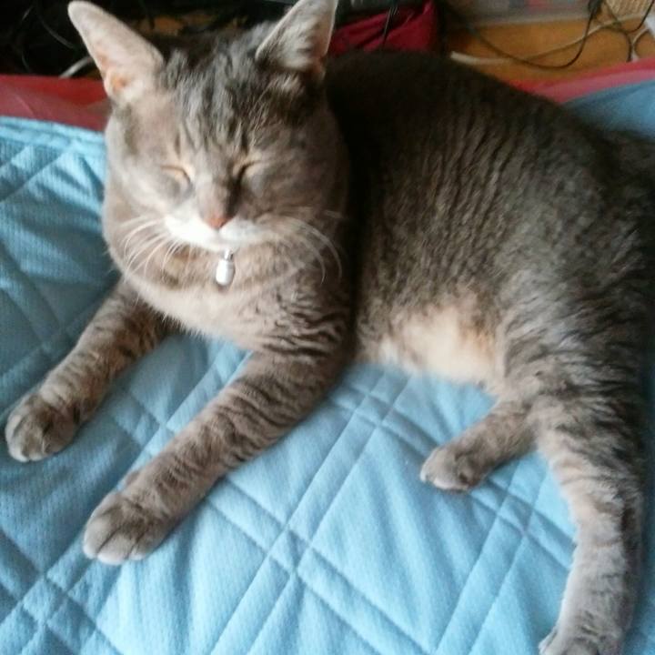 84bbe61e 5607 4a00 85fe 8cf96f23fac0